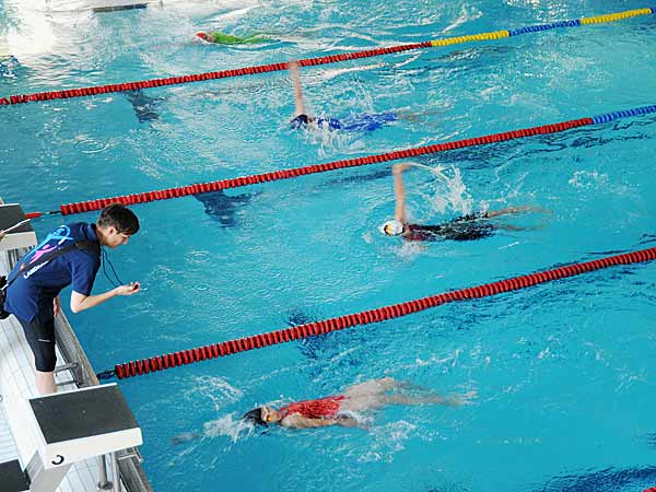 Foto: Jugend-Olympiade 2016: Schwimmen