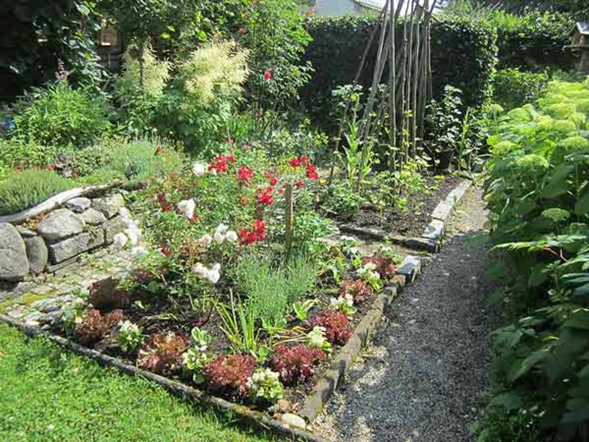 Gemüsegarten Foto: Gemüsegarten