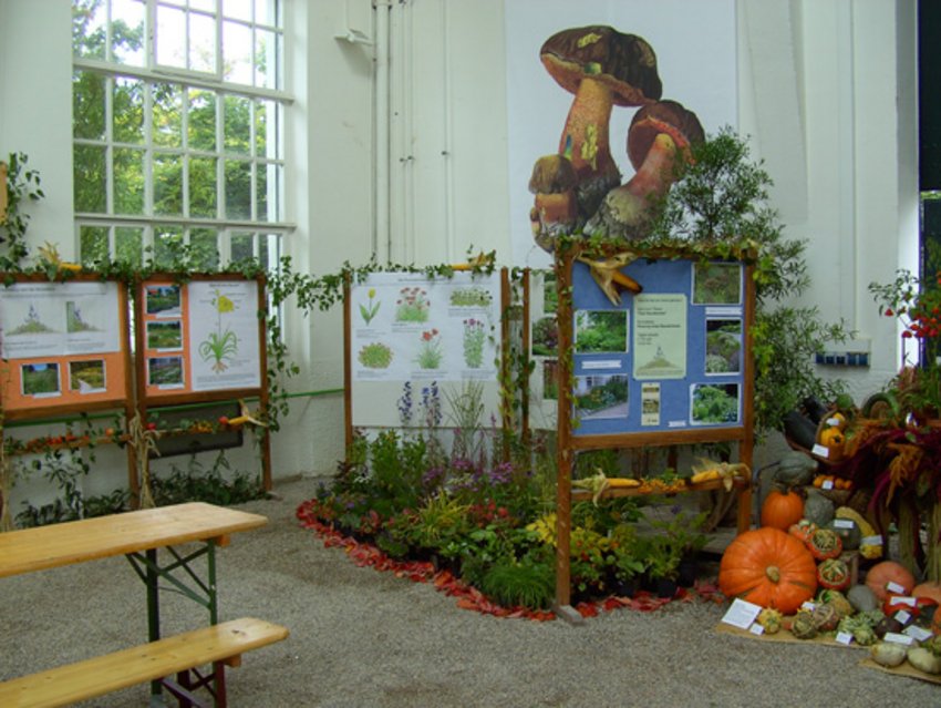 Foto: Ausstellung des Landkreises München zum Erntedankfest mit Früchten, Blumen und Info-Tafeln