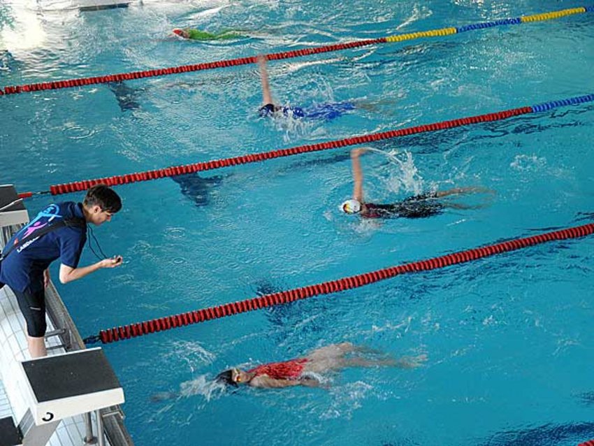 Schwimmerinnen beim Wettkampf im Rückenschwimmen.