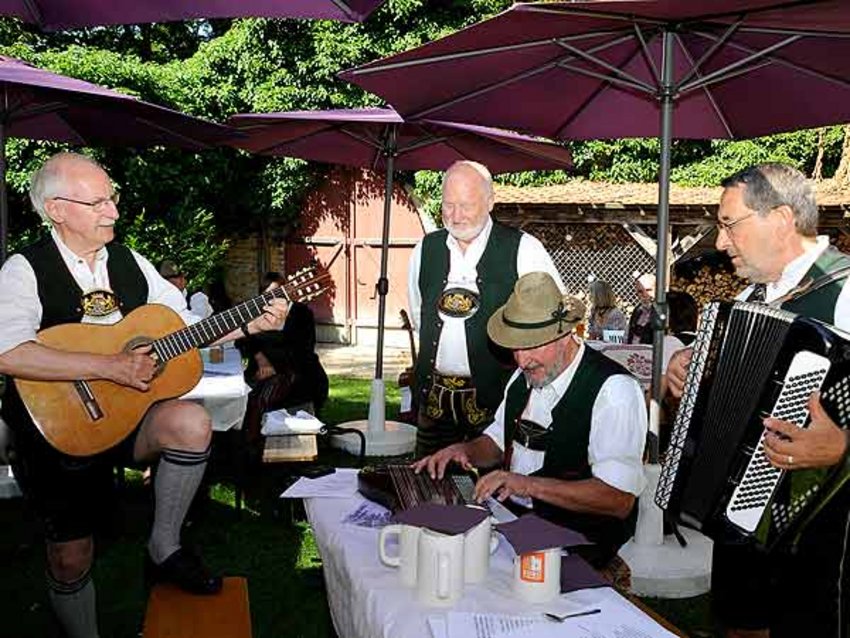 Musiker Foto: Musiker