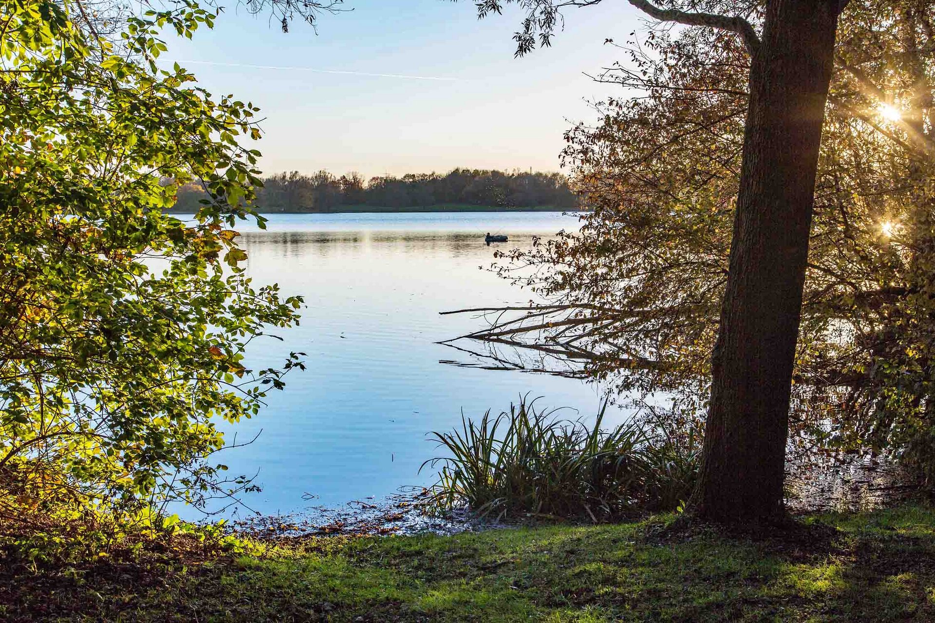 Feringasee in Unterföhring Foto: Feringasee in Unterföhring