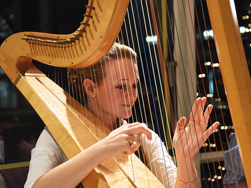 Foto: Volksmusikerin Elisabeth Grandl an der Harfe