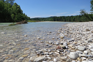 Isartal Landschaft