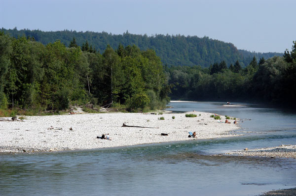 Isarauen Süd Foto: Isarauen Süd