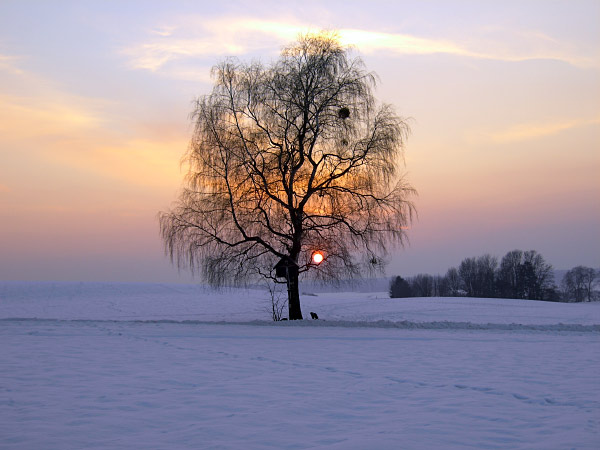 Landschaft Aying Foto: Landschaft Aying