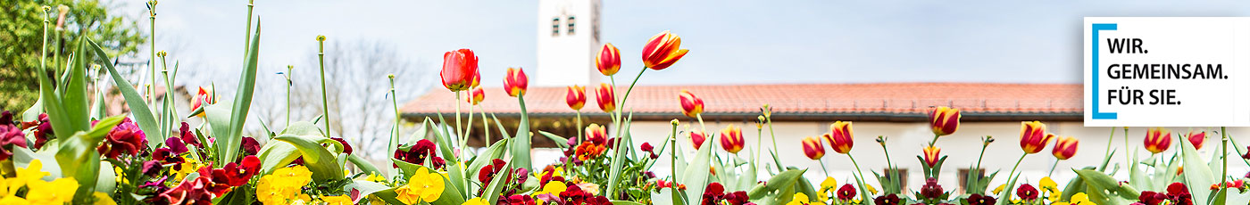 Frühling im Landkreis München